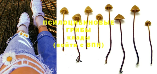 мяу мяу мука Нефтегорск