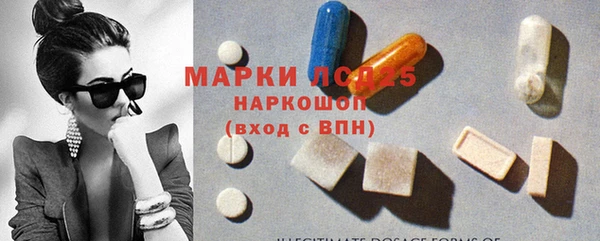 PSILOCYBIN Апатиты