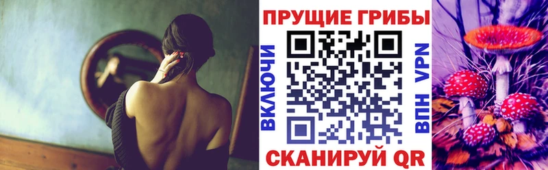 закладки  Воронеж  Псилоцибиновые грибы мицелий 