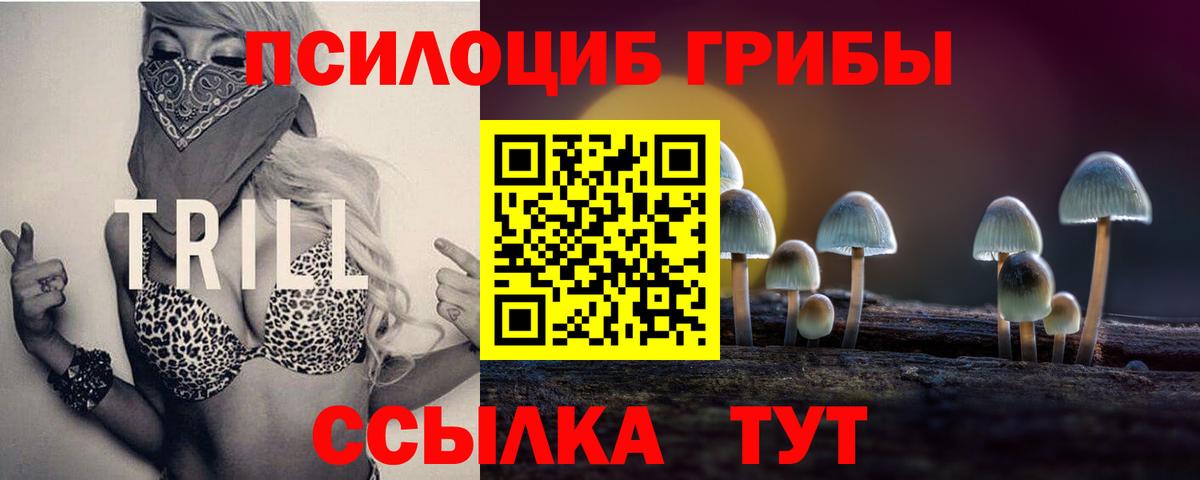 Воронеж  Галлюциногенные грибы Psilocybine cubensis  Вход с VPN  Псилоцибиновые грибы ЛСД 