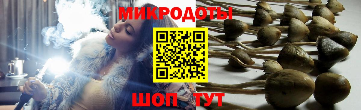 Псилоцибиновые грибы GOLDEN TEACHER  Псилоцибиновые грибы Cubensis  Воронеж 